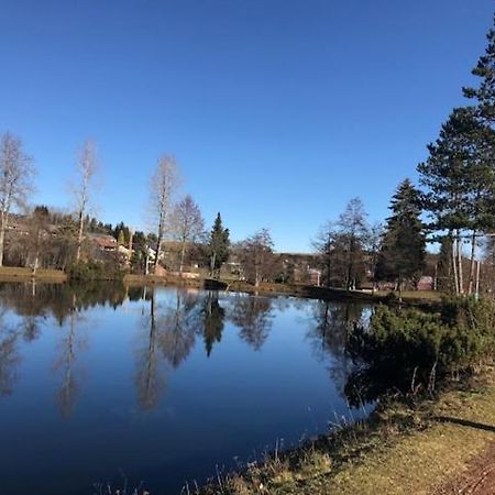 Schoene Ferienwohnung Im Suedschwarzwald Herrischried Extérieur photo